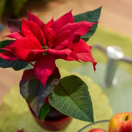 Mogilska Tower + Garaz Apartment Krakow