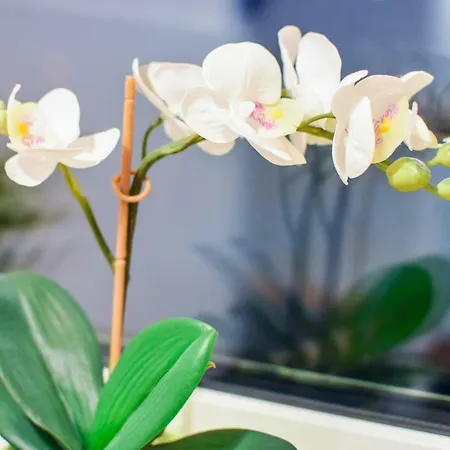 Mogilska Tower + Garaz